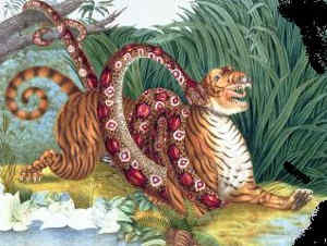 zotl aloys the tiger and the boa constrictor 1835
