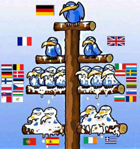 Euro-birds