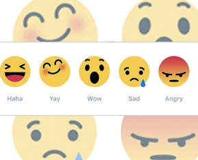 web analysis riccardo manzotti facebook junk emotion