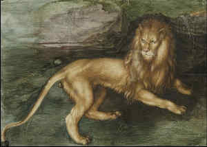 Albrecht Durer A Lion 1494 Gouache on parchment heightened with gold 126 x 172 cm 800x445