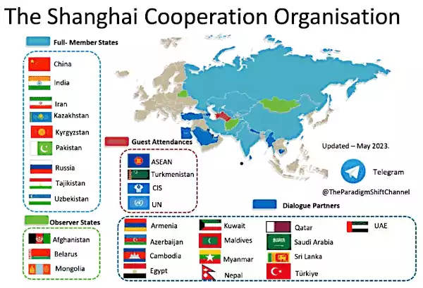 immagine-1024x576.webp