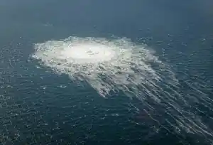 1 fsvdk nordstream 202209 1 2022 artikel.jpg