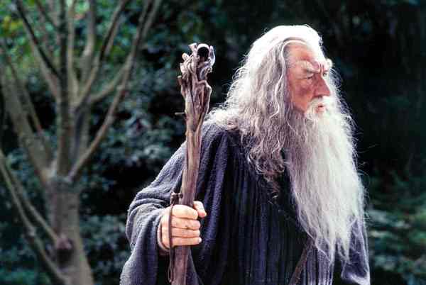 gandalf input