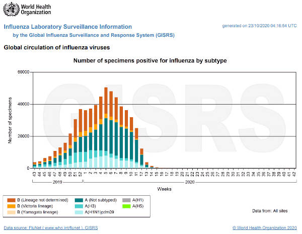 flunet globalviruscirculation 20201023