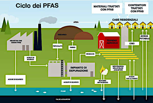 CICLO DEI PFAS e1618057389210