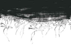 Gli uccelli interno asini 5 page 0001 1024x752