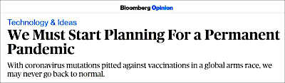 bloomberg