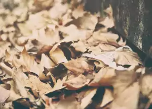 glenn carstens peters ddnin8mvgla unsplash 1