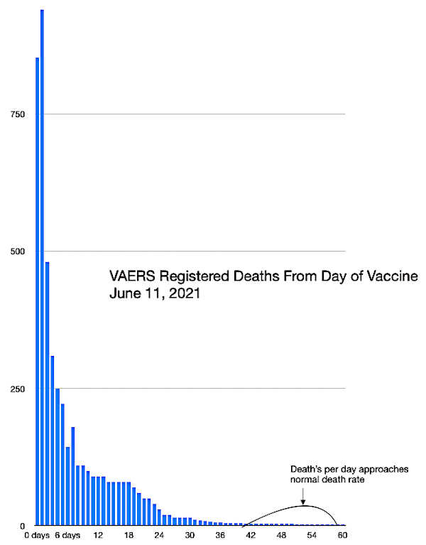 storage paolo bellavite images 211016Socci1