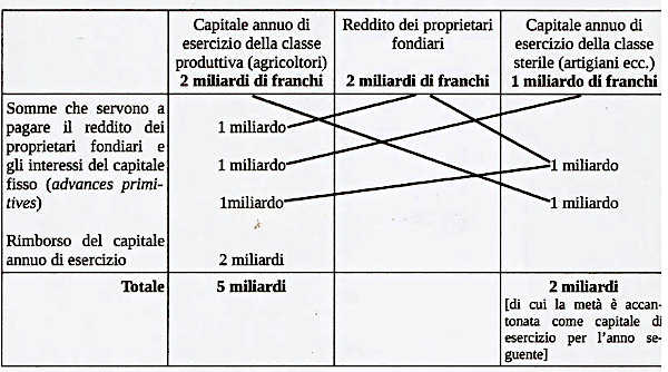 Ascanio fisiocratici Figura 1