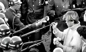 Guerra fiori nei cannoni no
copyright.jpg