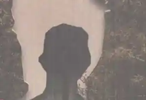 WEIRD EERIE FISHER 835.jpg
