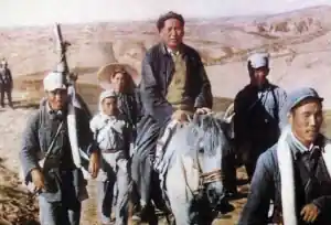 mao11.jpg