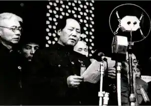 mao nel 49.jpg