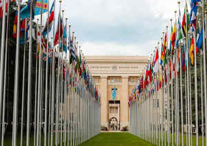 risoluzione onu