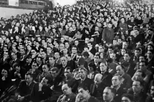 7 12227540 large 1 900x600 1