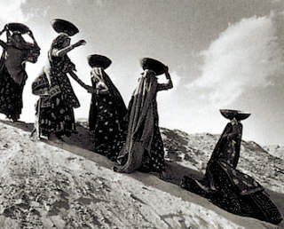 Salgado-Diga