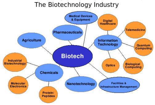 biotech industry diagram