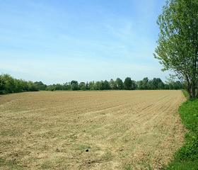 campo 4 450PX