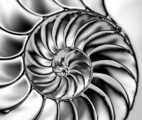 mg22229710-800-1 1200