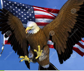 bald eagle us flag 69192