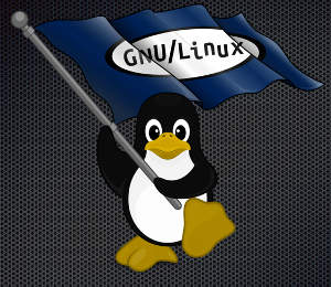linux computer preloaded laptop