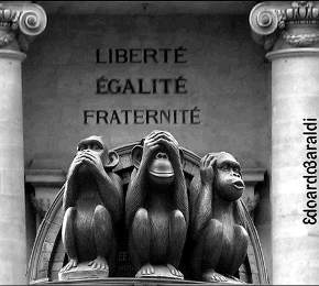stato emergenza 510