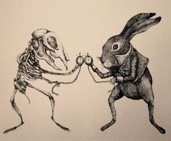 teorie zappino ericailcane white rabbit