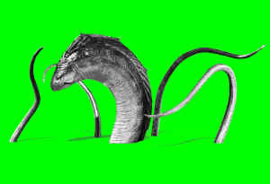 LOVINK banner wordpress