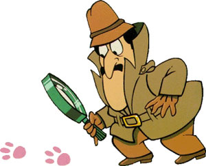 clouseau