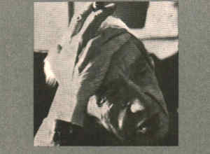 ontologia dell essere sociale ii