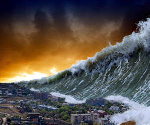 tsunami Trump