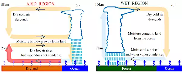 AnastassiaForestsImage 2