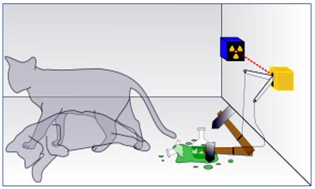 schrodinger1