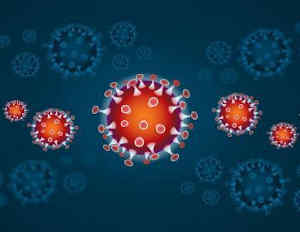 site 640 480 limit coronavirus4 interno