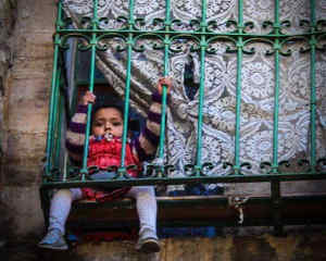 17317436192 8dfefa460b o