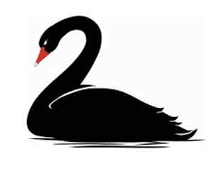 cigno nero 200pixel