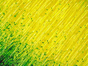 yellow green line background 700x525