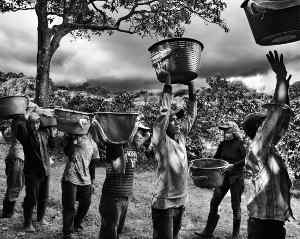 131202 salgado coffee02 pmpxun 1200x878