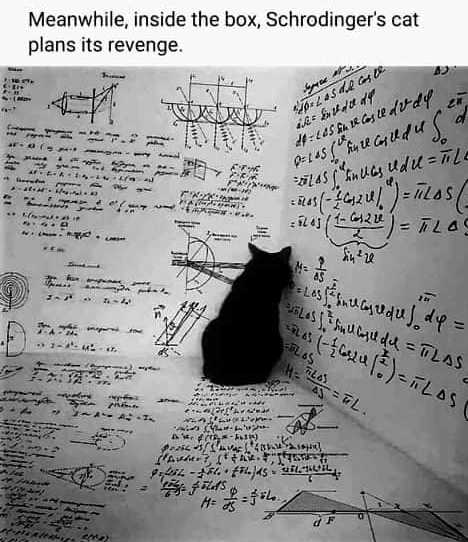 73057088 10219072690023742 1939327366509625344 n