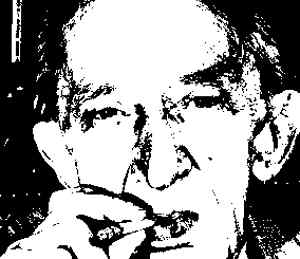 georg lukacs