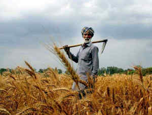 indian farmerjpg