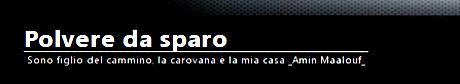 polvere da sparo