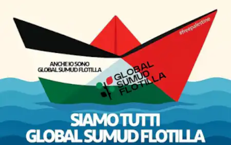 Flotilla grafica.jpeg