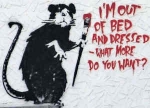im out of bed rat 620x430
